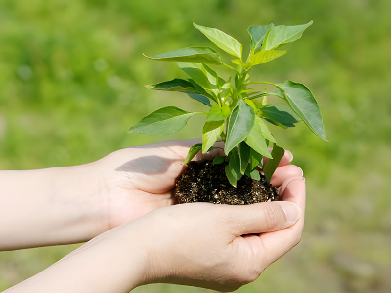 環境問題イメージ